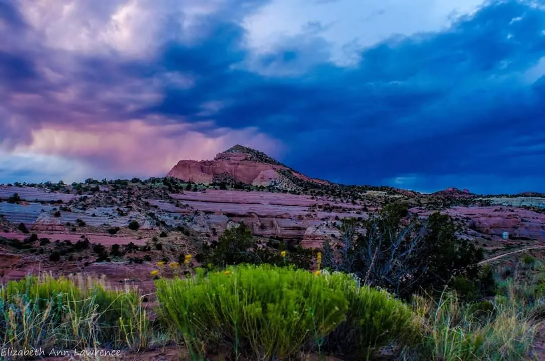 A collection of beauty lost in time and reborn. Credit to Elizabeth Schools (Southwest Beauty)