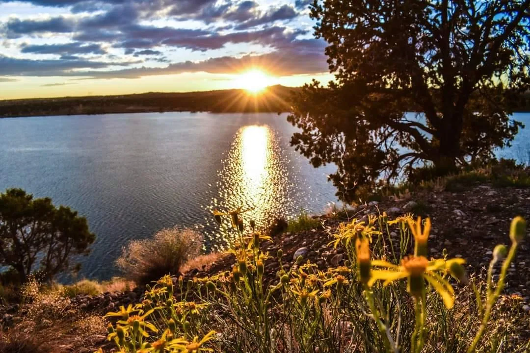 A collection of beauty lost in time and reborn. Credit to Elizabeth Schools (Southwest Beauty)