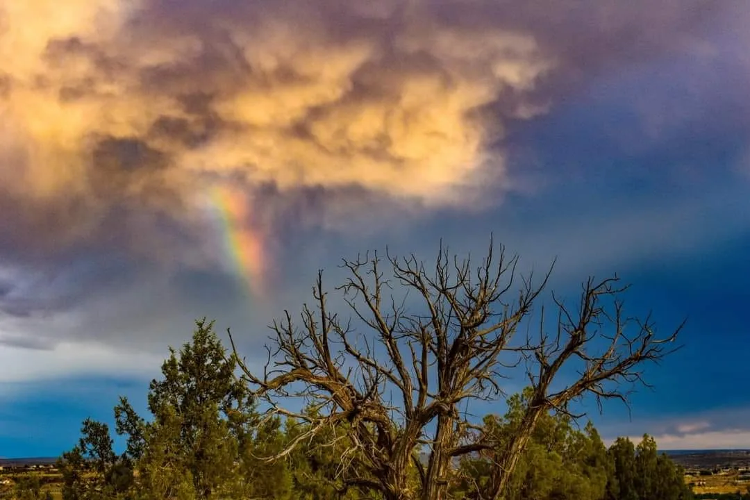 A collection of beauty lost in time and reborn. Credit to Elizabeth Schools (Southwest Beauty)