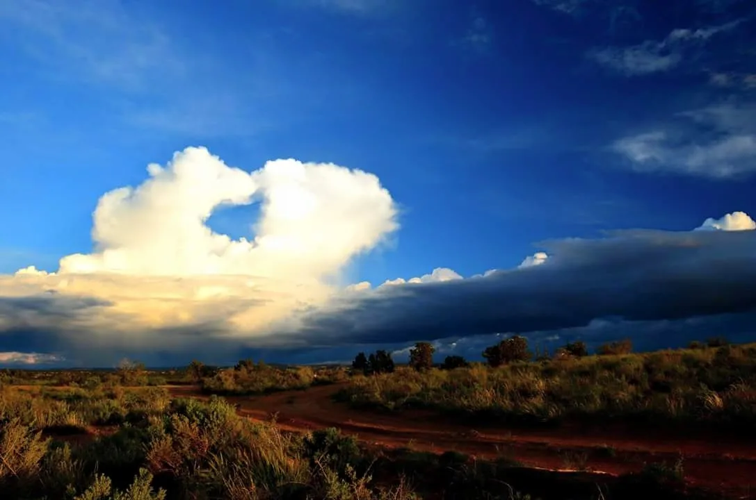 A collection of beauty lost in time and reborn. Credit to Elizabeth Schools (Southwest Beauty)