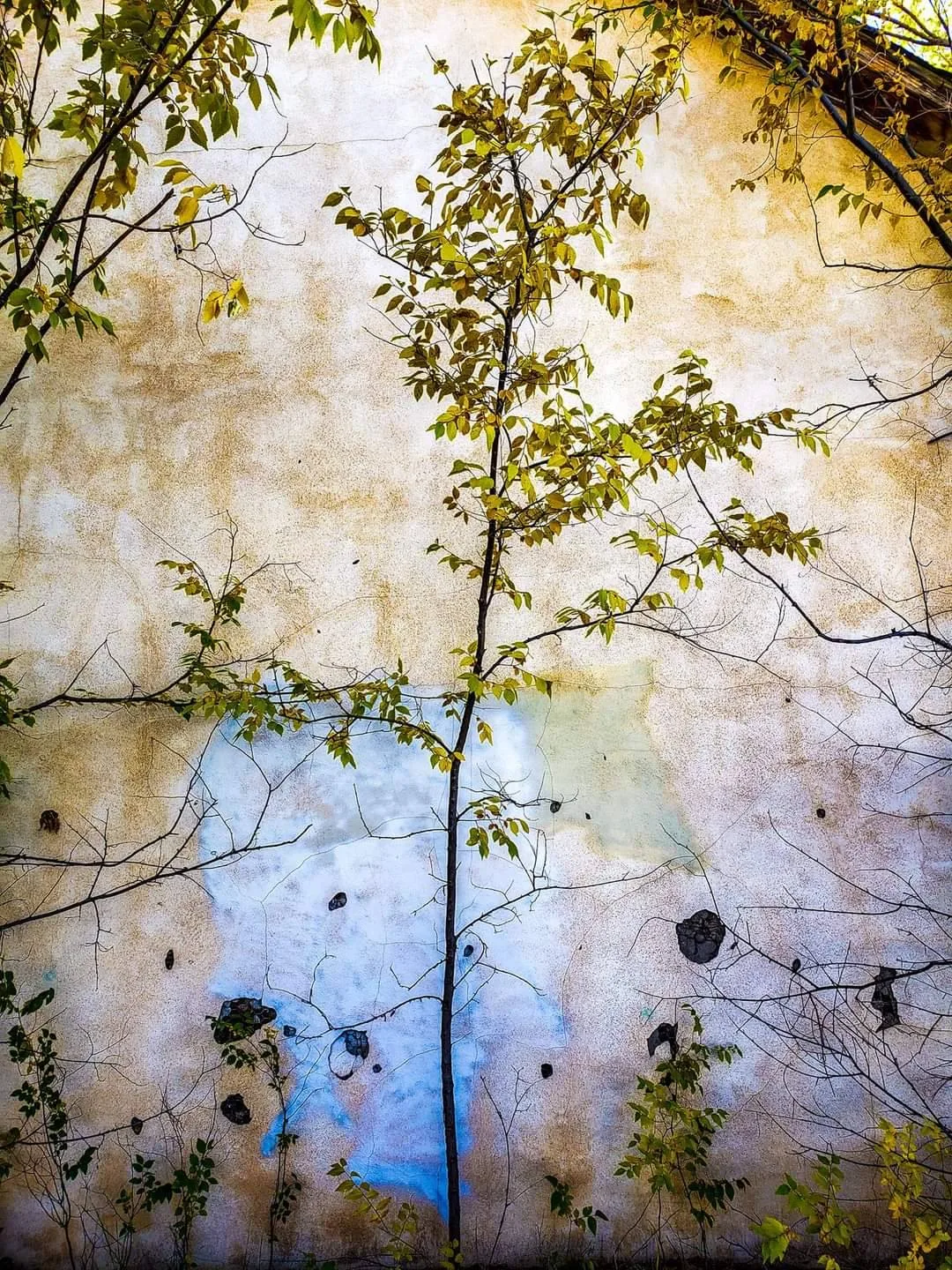 A collection of beauty lost in time and reborn. Credit to Elizabeth Schools (Southwest Beauty)